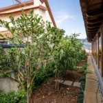 Moradia T5, Ilha da Madeira, Funchal