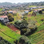 Terreno, Ilha da Madeira, Santana
