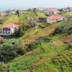 Terreno, Ilha da Madeira, Santana