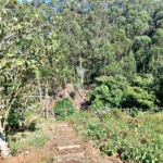 Lote de Terreno, Ilha da Madeira, Porto Moniz