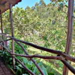 Lote de Terreno, Ilha da Madeira, Porto Moniz