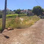 Terreno, Ilha da Madeira, Santana