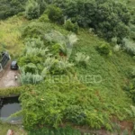 Terreno, Ilha da Madeira, Santana