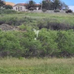 Terreno, Ilha de Porto Santo, Porto Santo