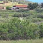 Terreno, Ilha de Porto Santo, Porto Santo