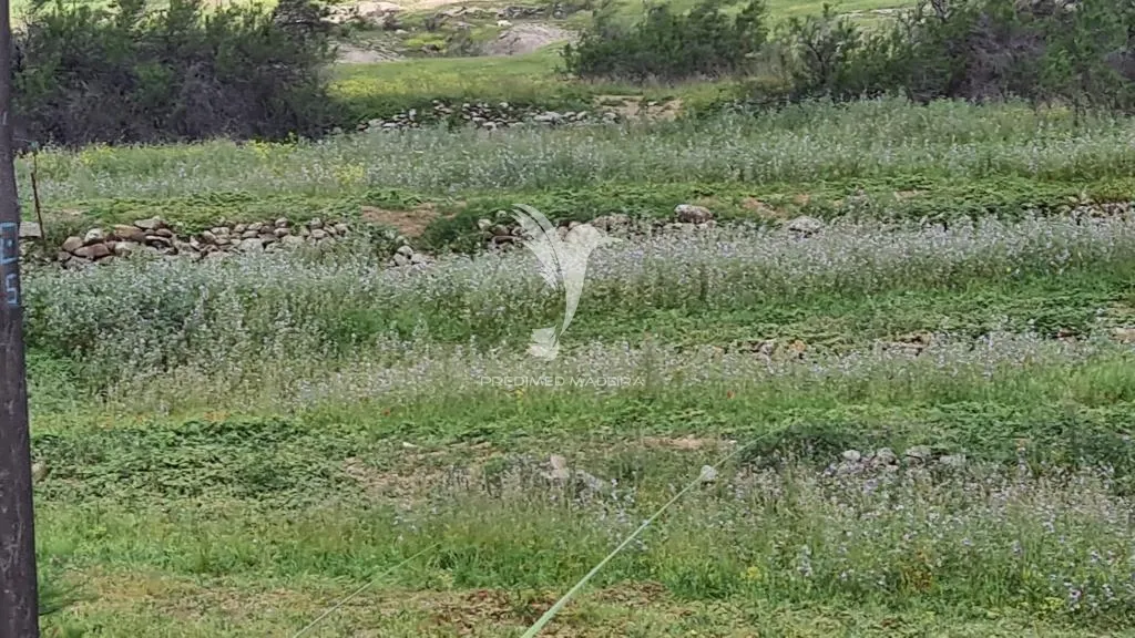 Terreno, Ilha de Porto Santo, Porto Santo