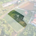Terreno, Ilha da Madeira, Santana