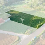 Terreno, Ilha da Madeira, Santana