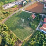 Terreno, Ilha da Madeira, Santana
