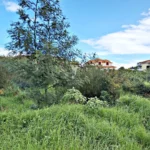 Lote de Terreno, Ilha da Madeira, Santa Cruz