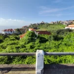 Terreno, Ilha da Madeira, Santa Cruz