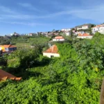 Terreno, Ilha da Madeira, Santa Cruz