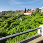 Terreno, Ilha da Madeira, Santa Cruz