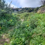 Terreno Rústico, Ilha da Madeira, Santa Cruz