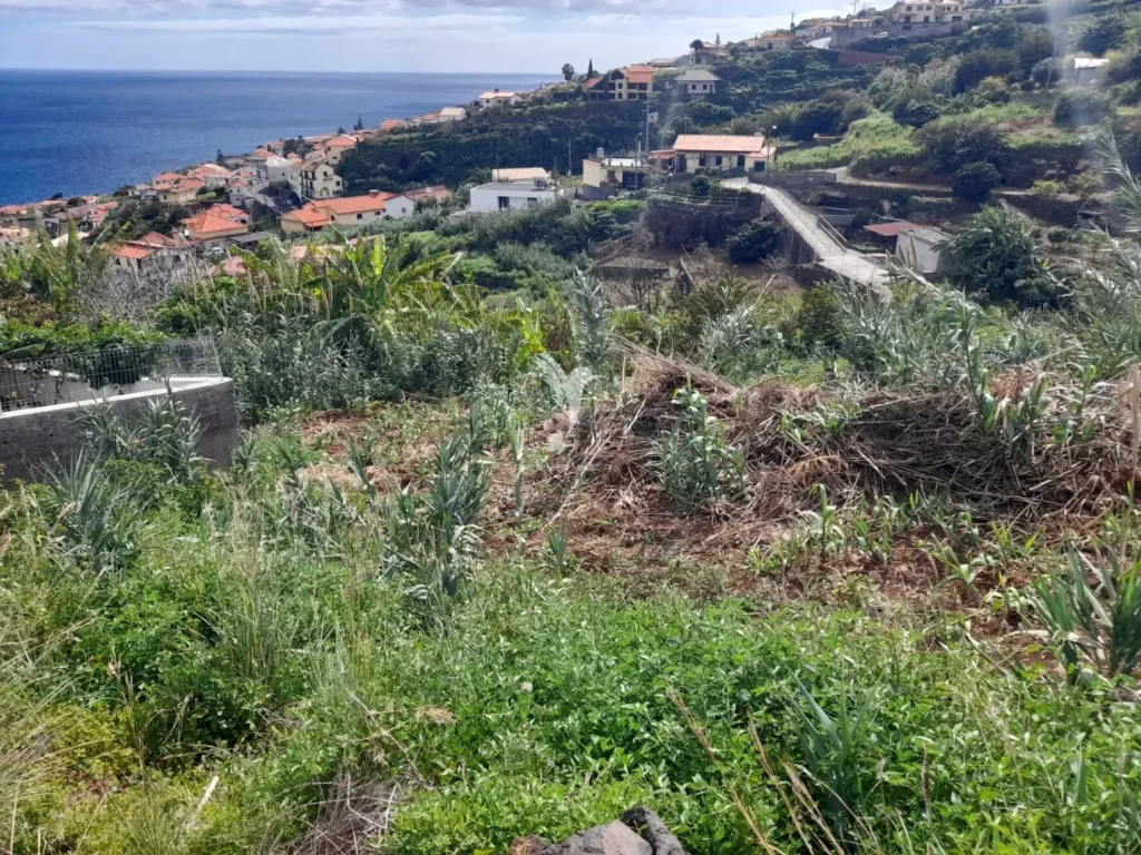 Terreno Rústico, Ilha da Madeira, Santa Cruz