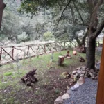 Terreno, Ilha da Madeira, Porto Moniz