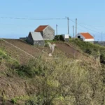 Terreno T1, Ilha da Madeira, Ponta do Sol