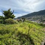 Terreno, Ilha da Madeira, Machico