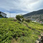 Terreno, Ilha da Madeira, Machico