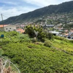 Terreno, Ilha da Madeira, Machico