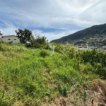 Terreno, Ilha da Madeira, Machico