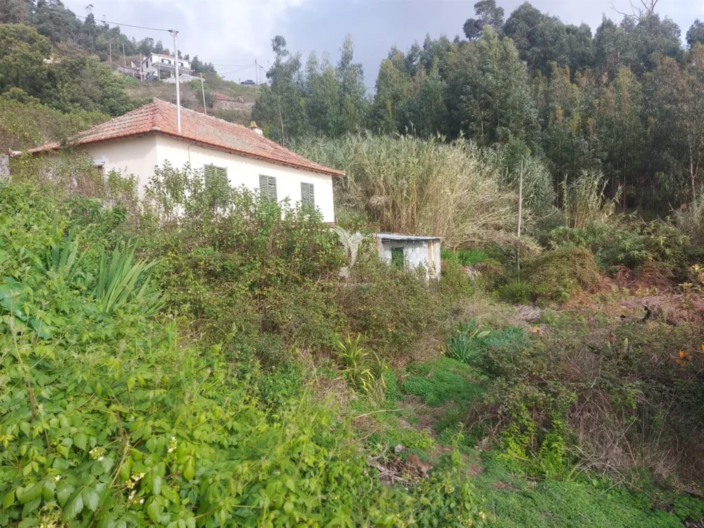 Moradia para Restaurar T3, Ilha da Madeira, Santa Cruz