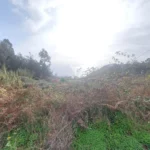 Moradia para Restaurar T3, Ilha da Madeira, Santa Cruz