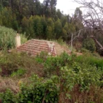 Moradia para Restaurar T3, Ilha da Madeira, Santa Cruz