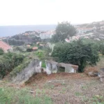 Terreno Misto, Ilha da Madeira, Santa Cruz