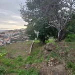 Terreno Misto, Ilha da Madeira, Santa Cruz