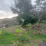 Terreno Misto, Ilha da Madeira, Santa Cruz