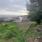 Terreno Misto, Ilha da Madeira, Santa Cruz