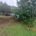 Terreno Misto, Ilha da Madeira, Santa Cruz