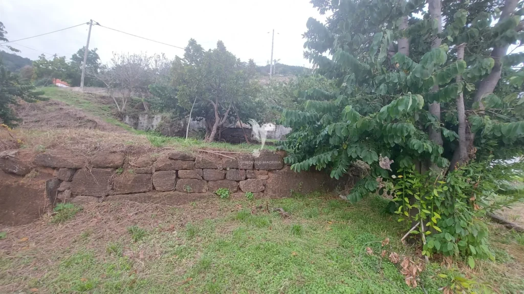 Terreno Misto, Ilha da Madeira, Santa Cruz