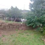 Terreno Misto, Ilha da Madeira, Santa Cruz