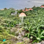 Terreno, Ilha da Madeira, Calheta (Madeira)