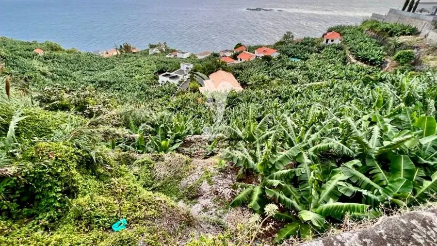 Terreno, Ilha da Madeira, Calheta (Madeira)