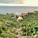 Terreno, Ilha da Madeira, Calheta (Madeira)