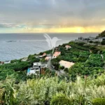 Terreno, Ilha da Madeira, Calheta (Madeira)