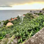 Terreno, Ilha da Madeira, Calheta (Madeira)