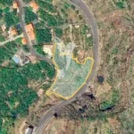 Terreno, Ilha da Madeira, Calheta (Madeira)