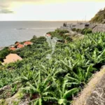 Terreno, Ilha da Madeira, Calheta (Madeira)