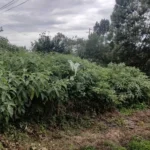 Lote de Terreno, Ilha da Madeira, Santana