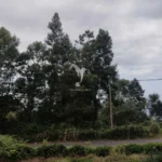 Lote de Terreno, Ilha da Madeira, Santana