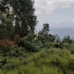 Lote de Terreno, Ilha da Madeira, Santana