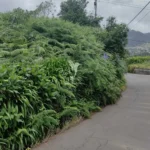 Lote de Terreno, Ilha da Madeira, Santana
