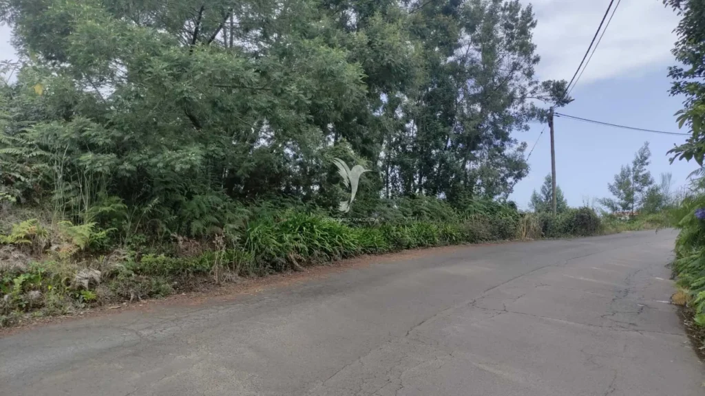 Lote de Terreno, Ilha da Madeira, Santana