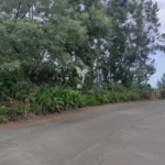 Lote de Terreno, Ilha da Madeira, Santana