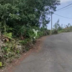 Lote de Terreno, Ilha da Madeira, Santana
