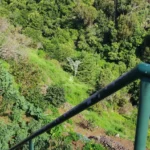 Terreno, Ilha da Madeira, Machico